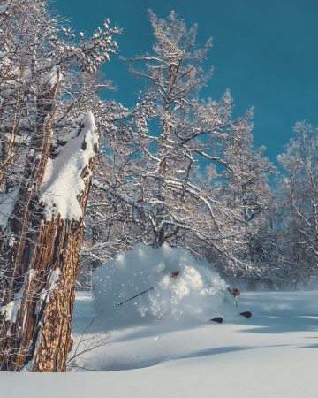 Deep powder skiing in West Altai forests