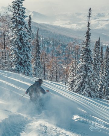 Fun and wide slopes with scattered conifer trees